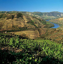 The Douro Valley © Grahams